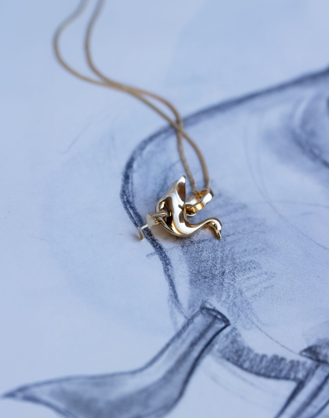 Immagine diapositiva